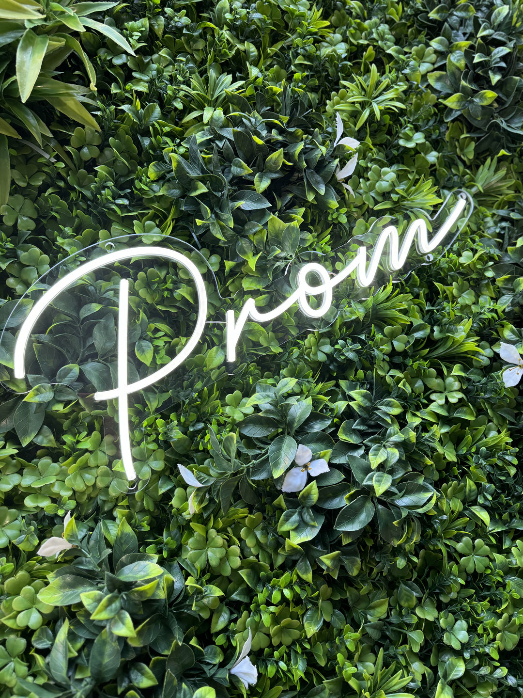 Rental - Neon Sign - Prom