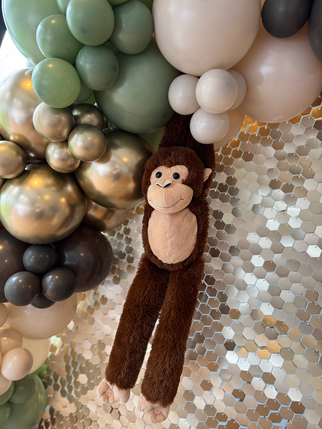 Rental - Marty the Monkey
