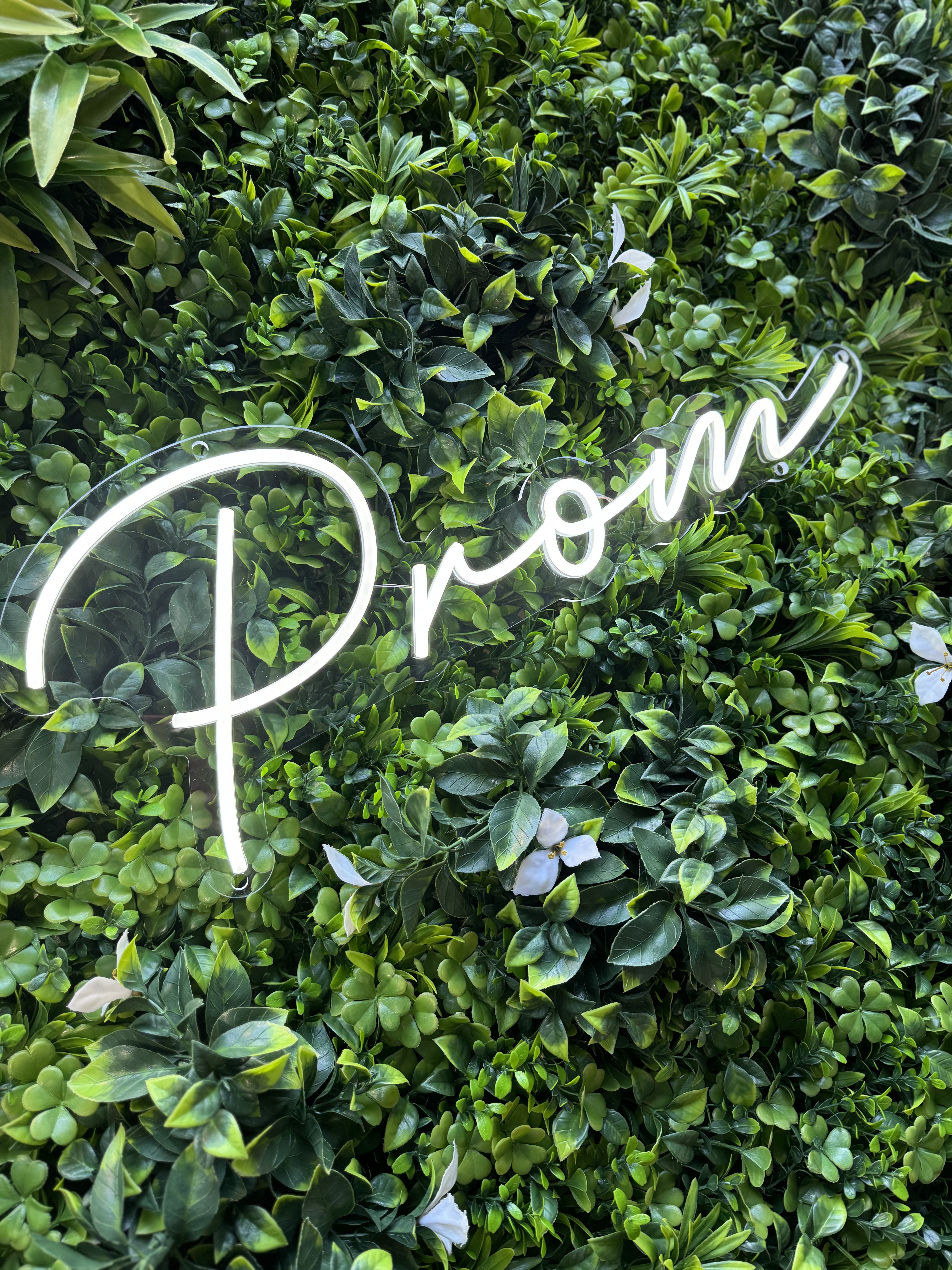 Green Prom Sign Rental - Neon Sign - Prom – Thoughts and Crosses