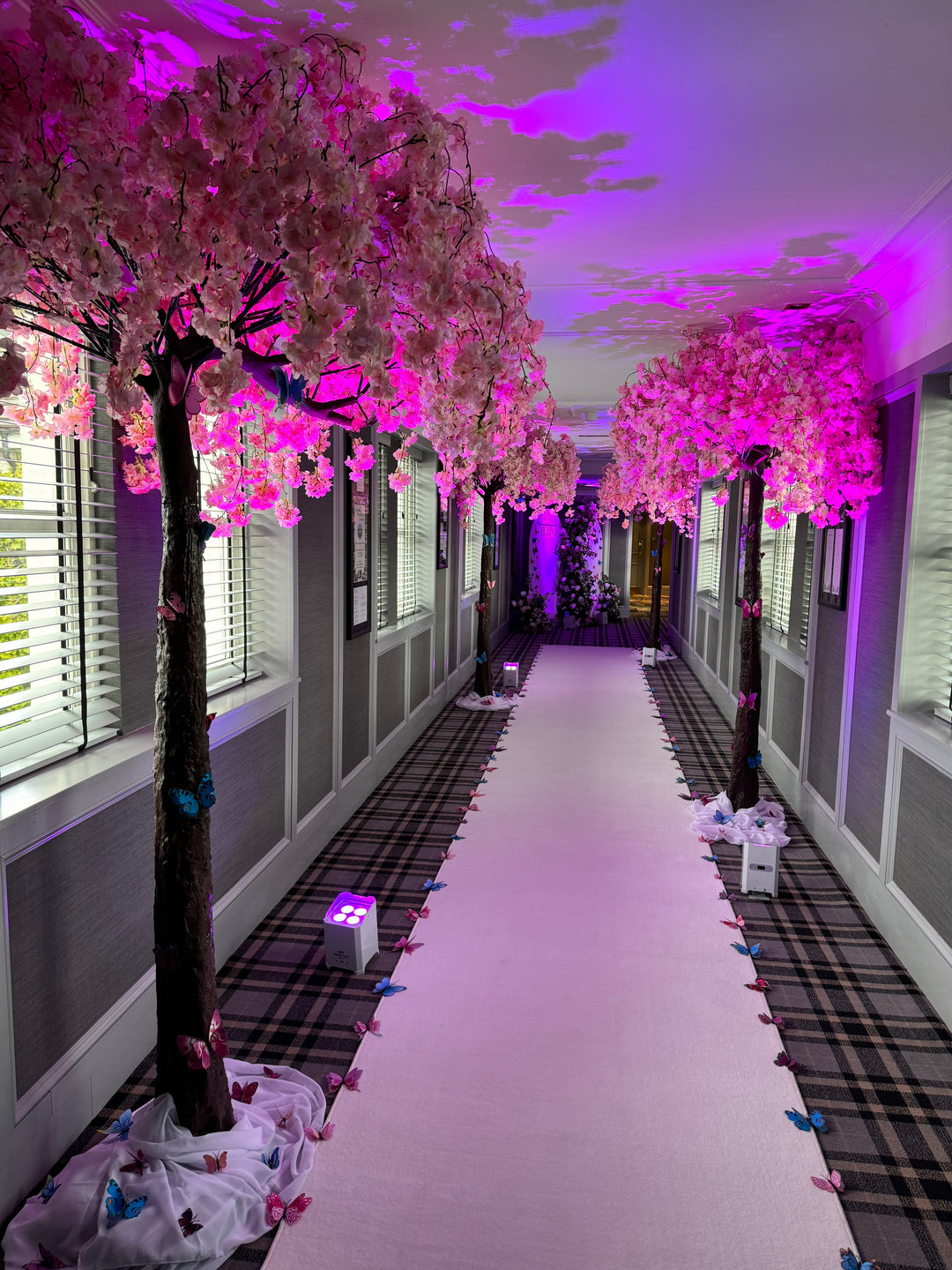 Rental - Tree - 2.5m Canopy Weeping Pink Cherry Blossom