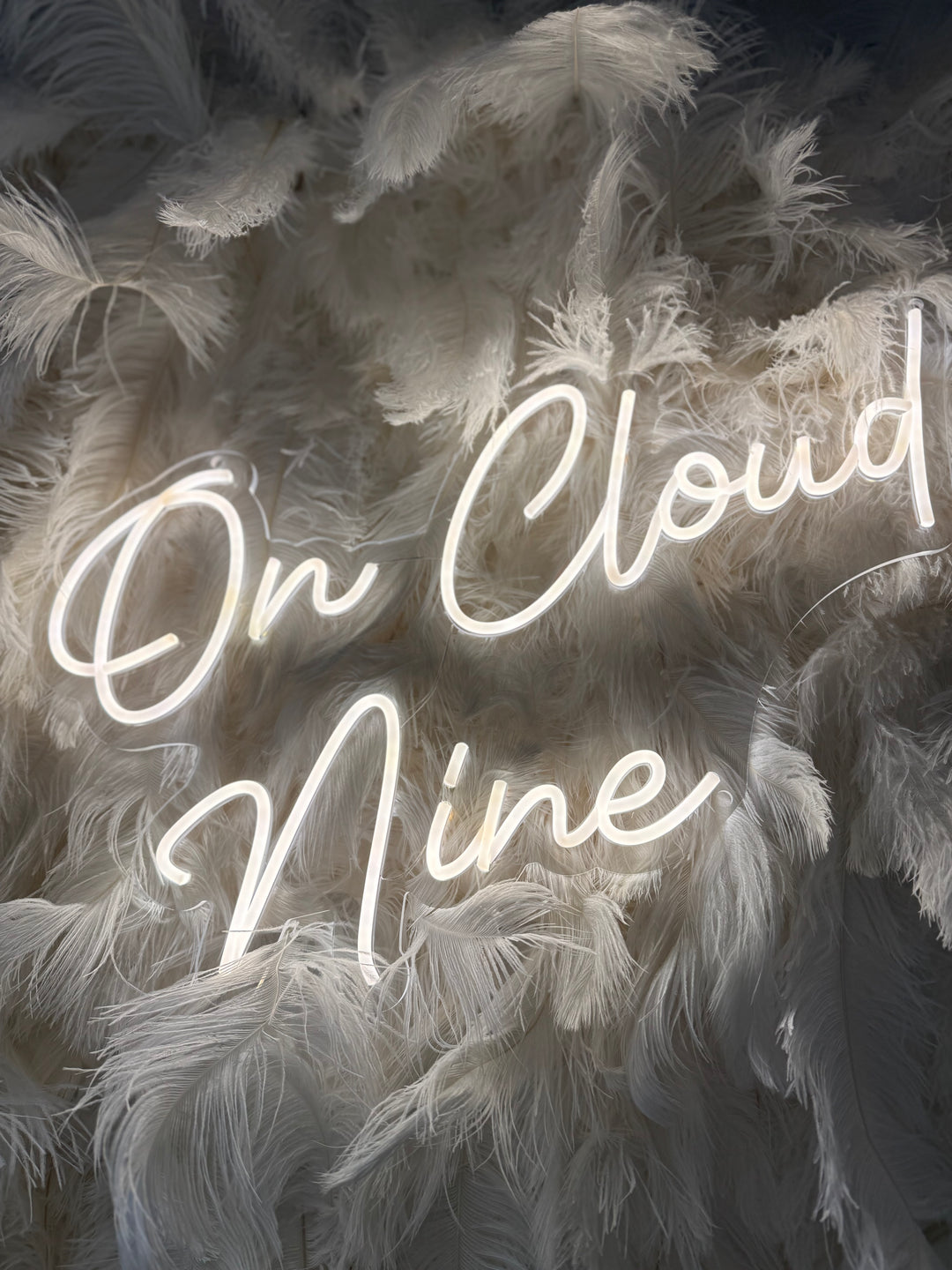 Rental - Neon Sign - On Cloud Nine