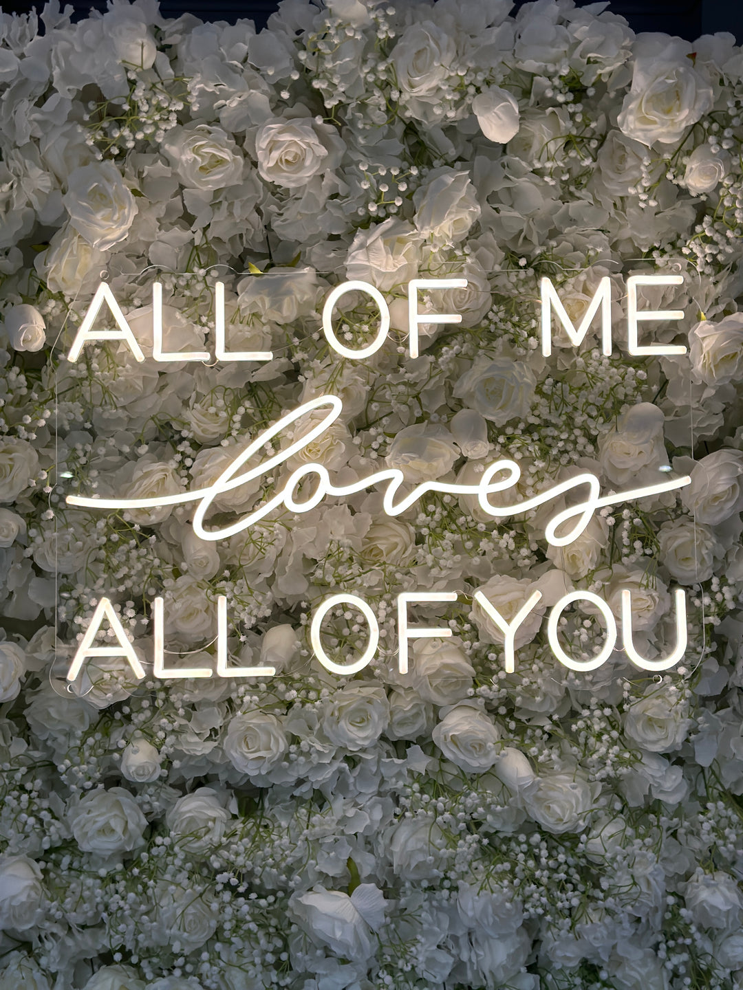 Rental - Neon Sign - All of Me Loves All of You